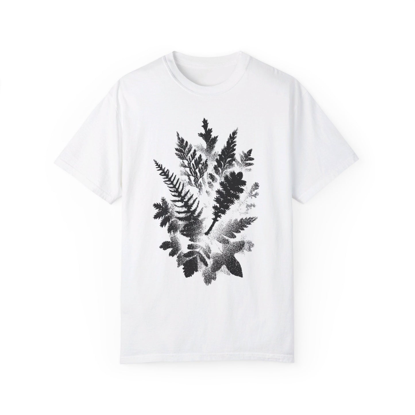 Ferns