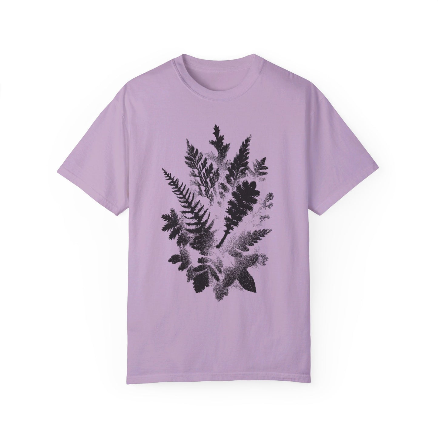 Ferns