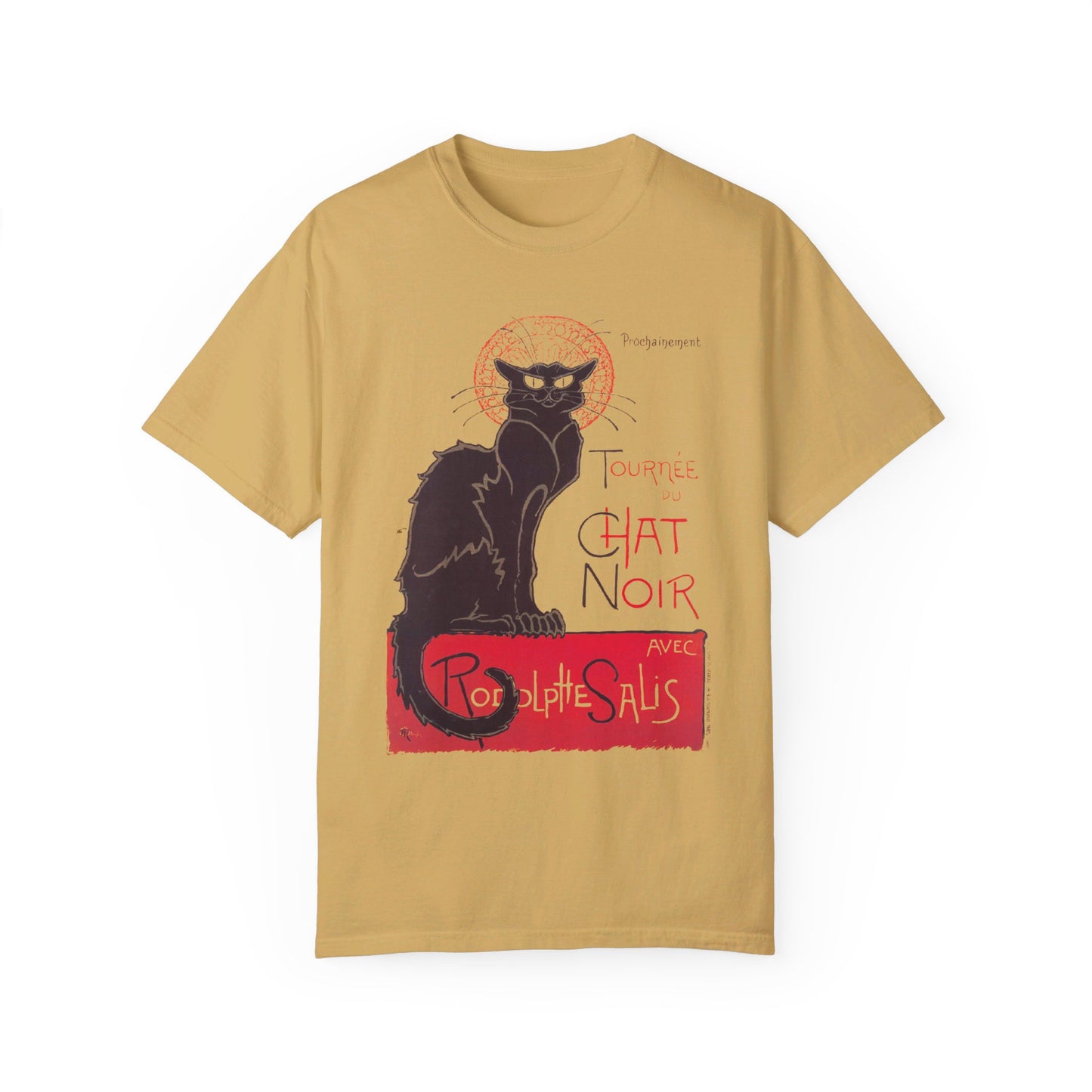 Cat Noir