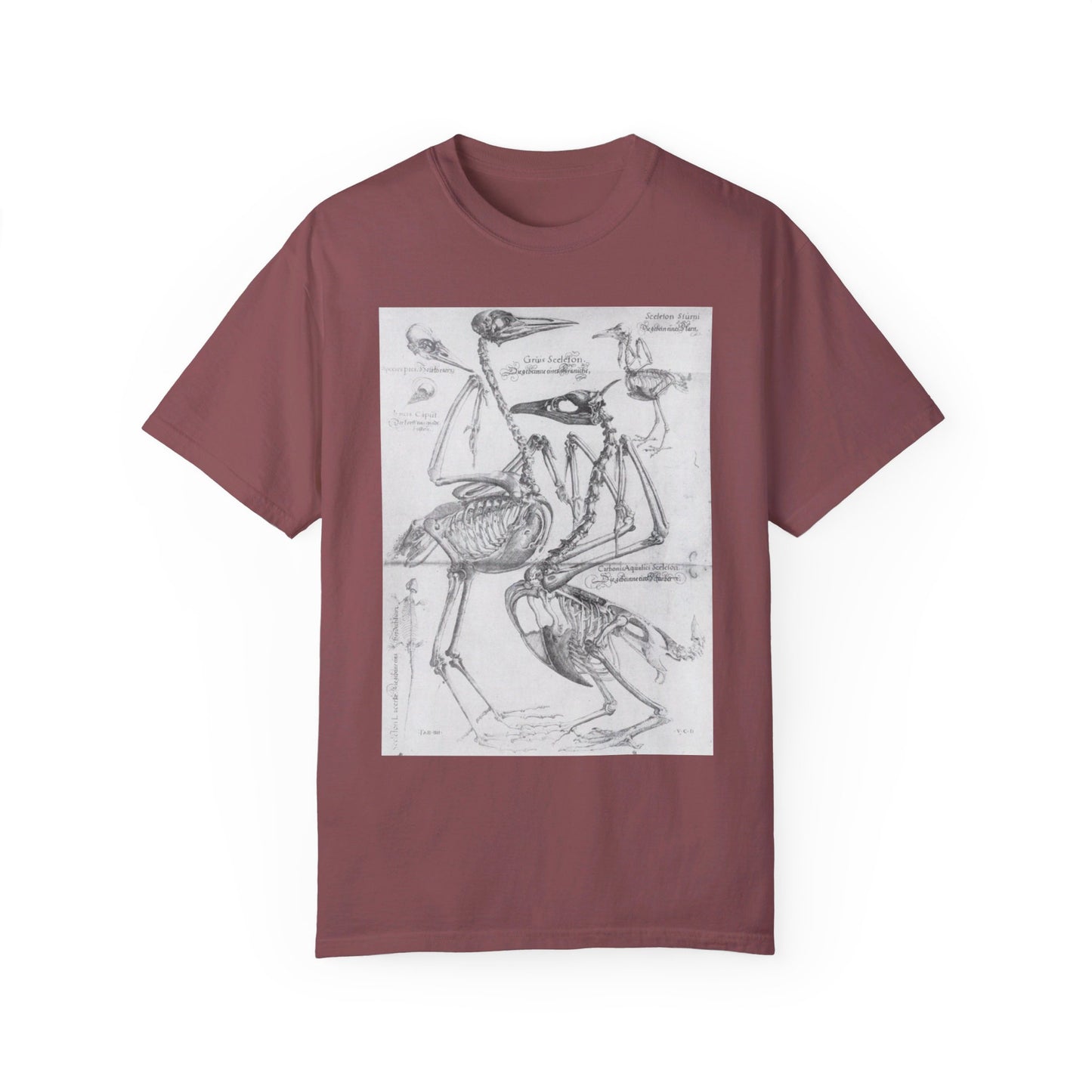 Bird Study