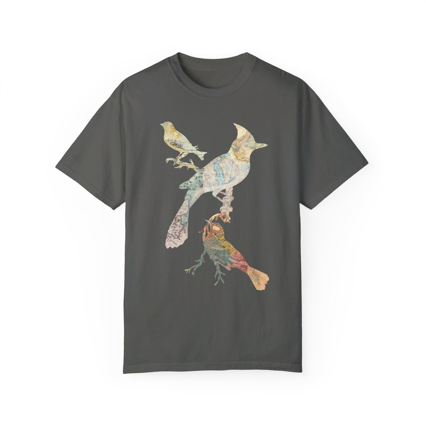 Map Birds