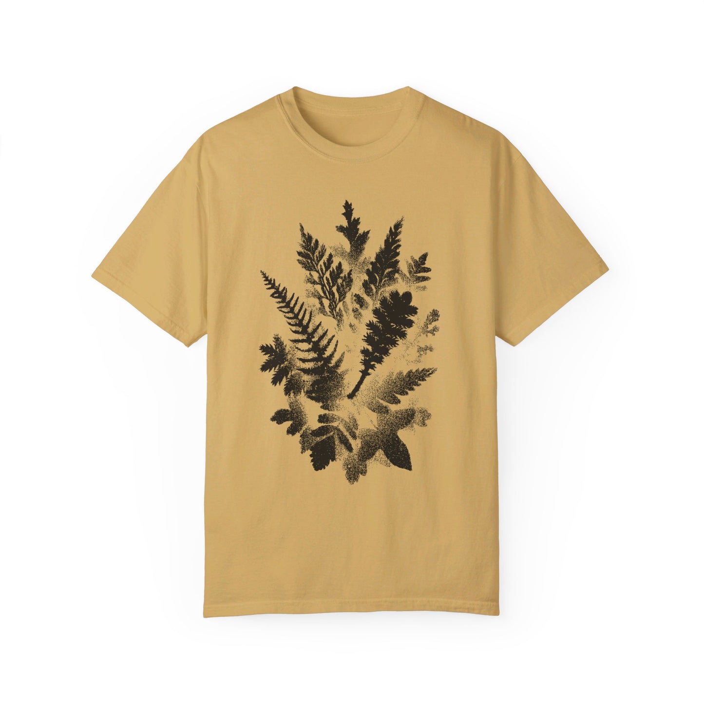 Ferns
