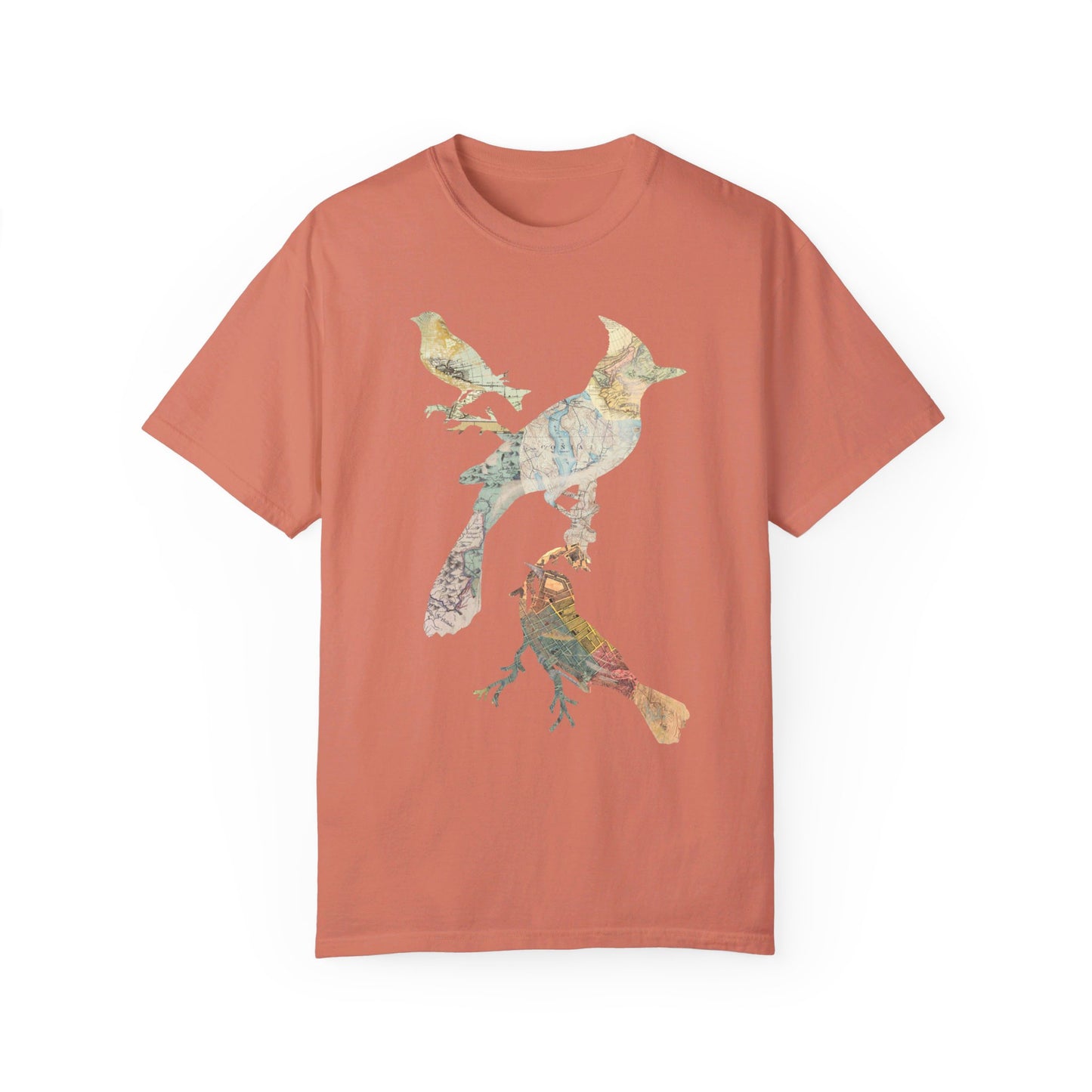 Map Birds