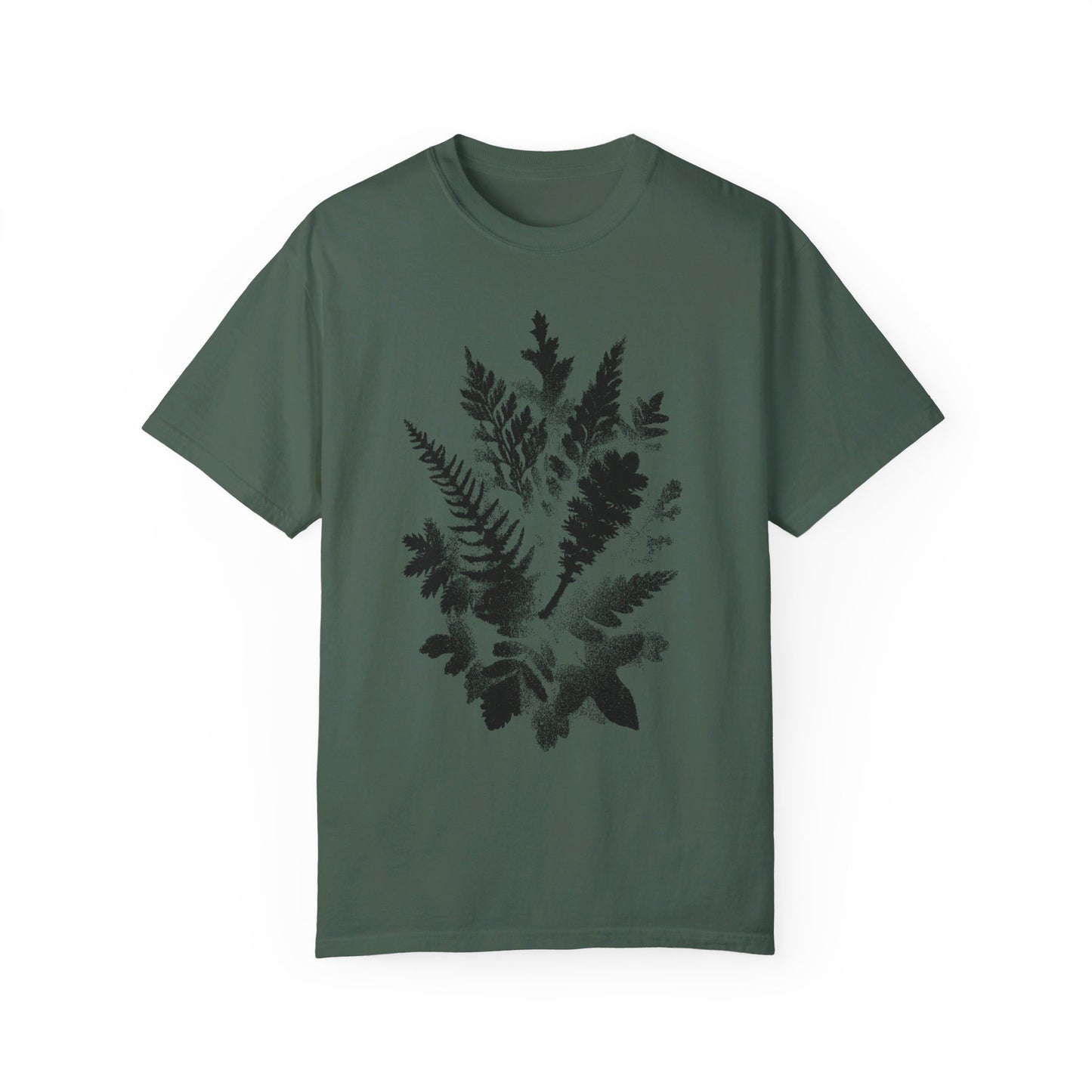 Ferns