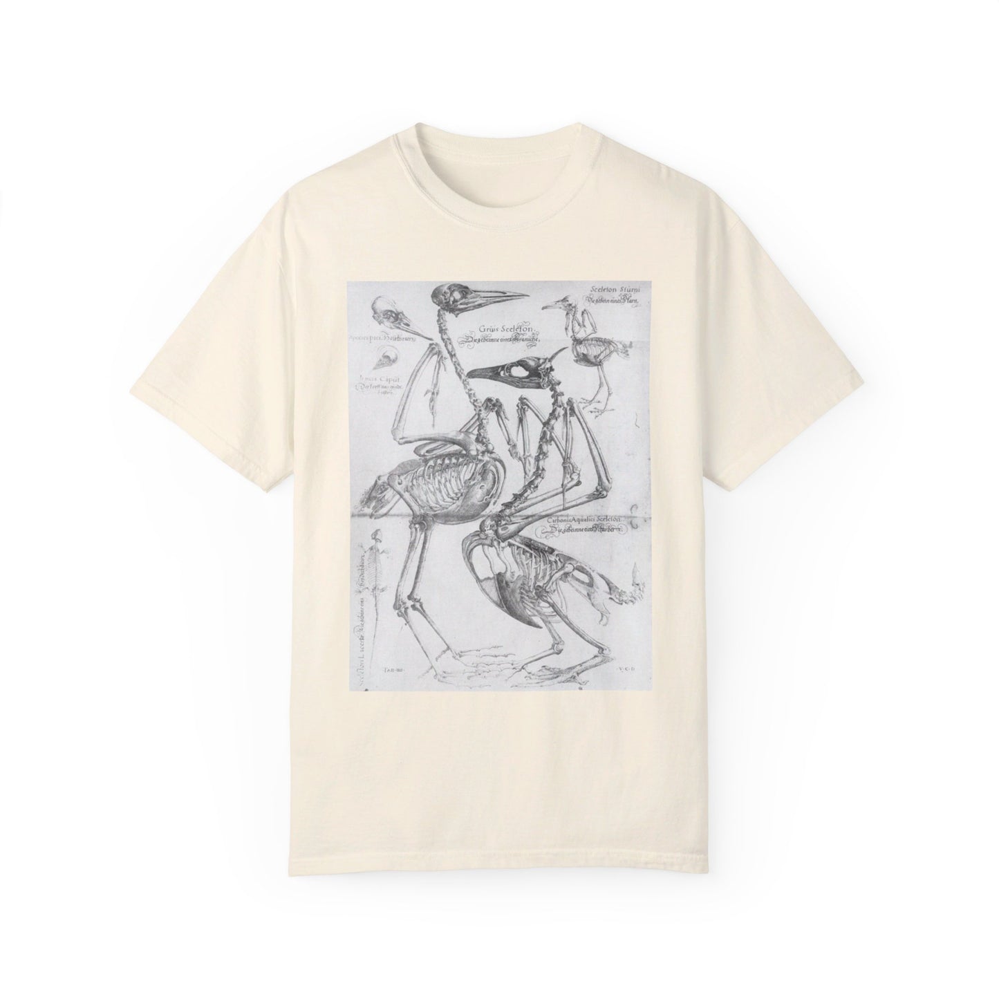 Bird Study