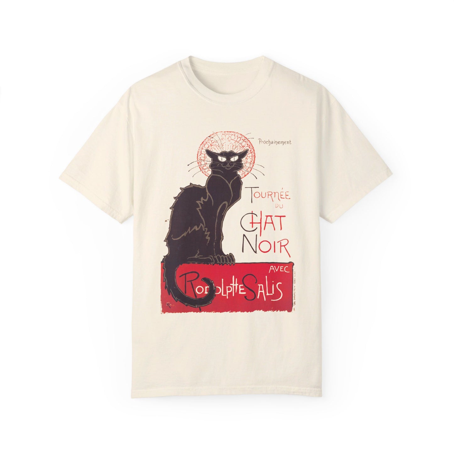 Cat Noir