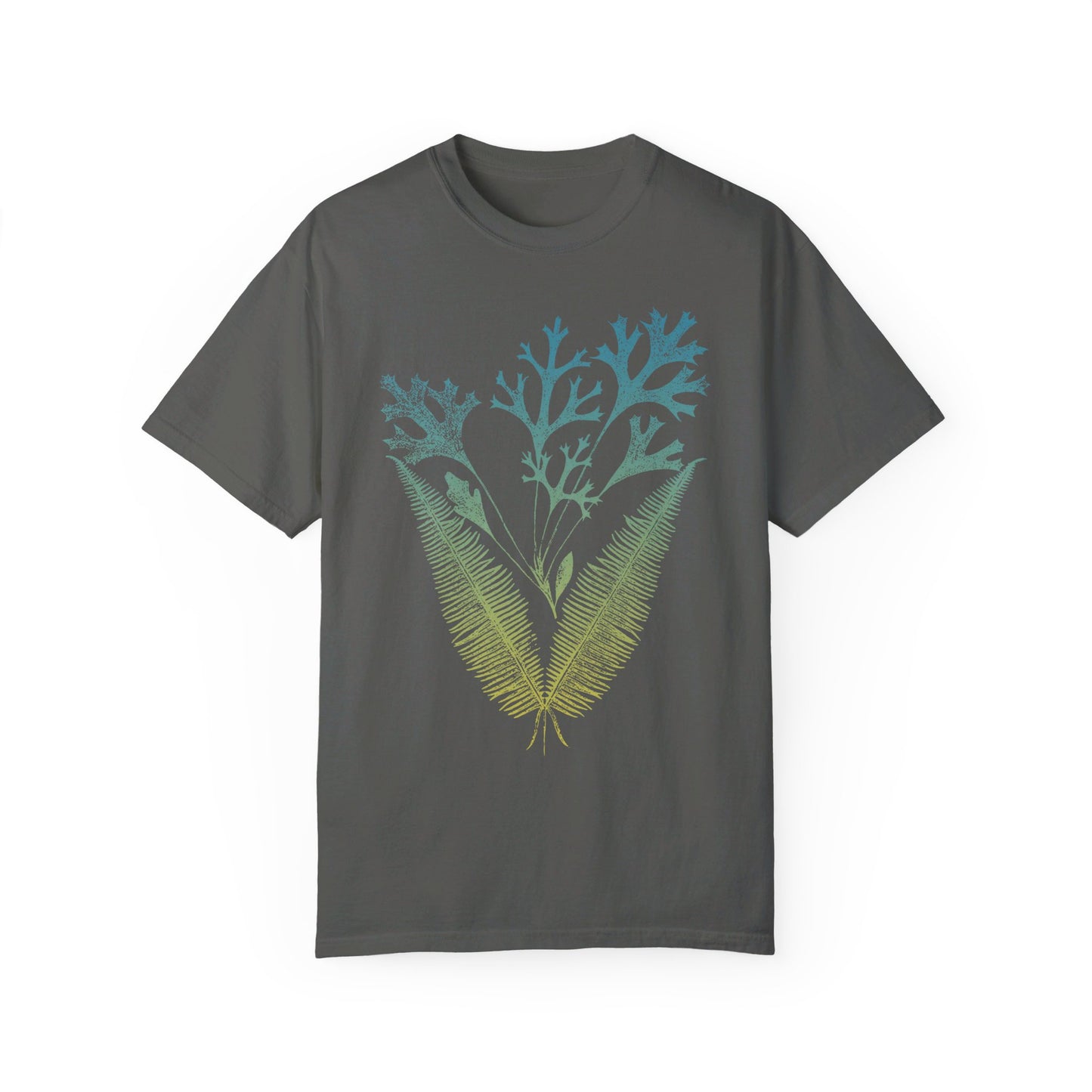 Colorful Ferns