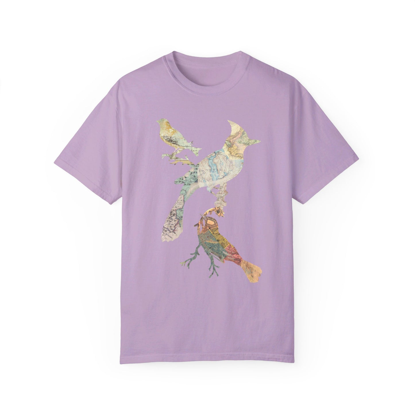 Map Birds