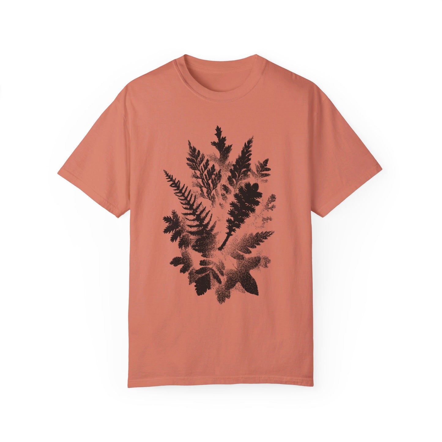 Ferns