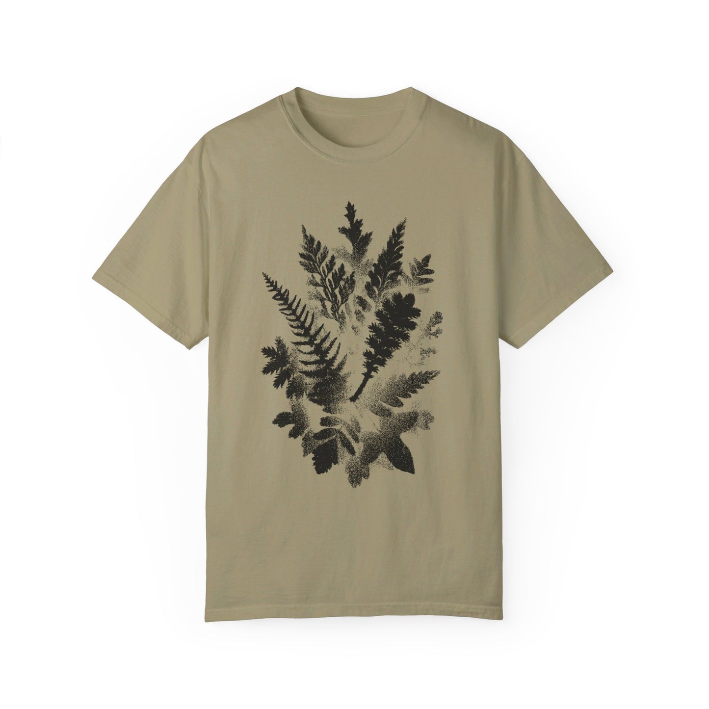 Ferns
