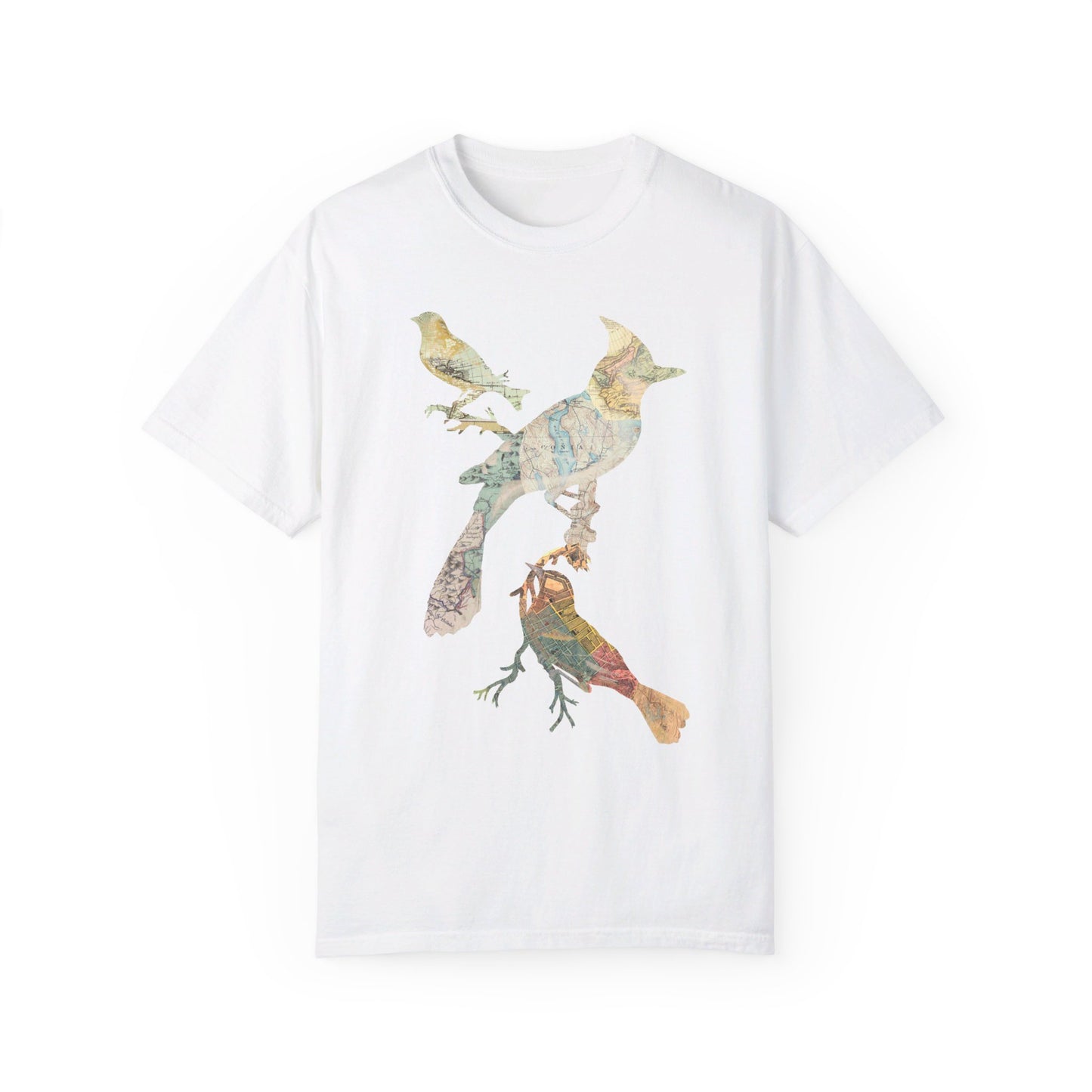 Map Birds